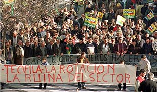 Centenares de agricultores se manifestaron ayer delante del Ayuntamiento de Cádiz por la norma sobre el algodón.