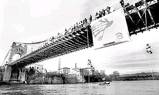 Greenpeace se une a la defensa del delta del Ebro contra el PHN