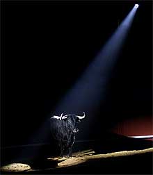 Inaugurada la Feria del Toro