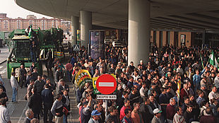 Miles de personas se concentraban ayer frente a la estación del AVE de Sevilla en protesta por la falta de acuerdo en la norma del algodón.