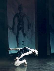  Arañando los campos interiores , de Wim Vandekeybus.