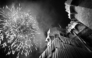 El espectacular baño de luz y color del tradicional    chupinazo,  anoche, dio el banderazo de salida a las Fallas 2002.