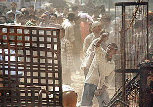 Más de 260 muertos en los enfrentamientos entre musulmanes e hindúes en India