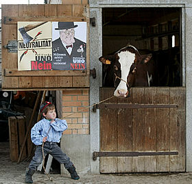 Un niño suizo juega con una vaca junto a carteles que piden el  no  a la ONU.