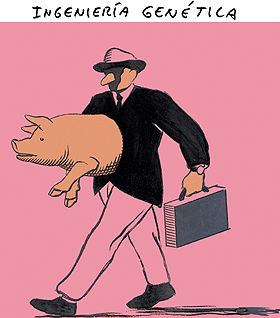 EL ROTO