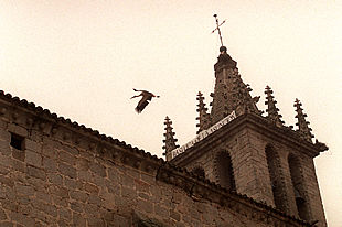 COLMENAR VIEJO, NUEVA BASÍLICA.