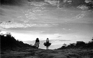  Arrieros en un camino , fotografía de Juan Rulfo.