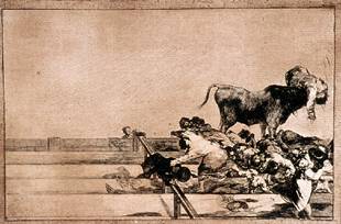  Desgracias acaecidas en el tendido de la plaza de Madrid y muerte del alcalde de Torrejón,  Tauromaquia 21 de Goya, de 1816.