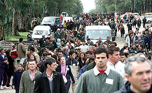 Un momento de la manifestación realizada ayer en Villamanrique.
