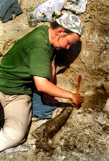 Dinosaurios y cocodrilos en el Pallars Jussà