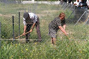 HUERTOS PARA JUBILADOS.