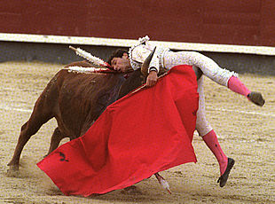Jarocho es empitonado por su segundo toro.