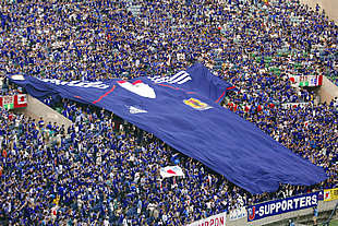 JAPÓN SE VISTE DE AZUL.