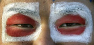 LA PENETRANTE MIRADA JAPONESA.