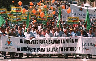 Los manifestantes, ayer, durante la protesta en defensa de la viña en Utiel.