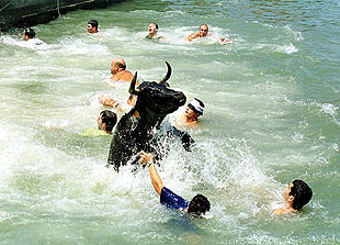 MUCHO PÚBLICO EN LOS 'BOUS A LA MAR' DE DÉNIA