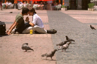 TÓRTOLAS Y 'TORTOLITOS' EN LA PLAZA MAYOR.