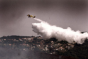 Incendio en un bosque de la cordillera prelitoral
