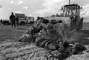 Labores de limpieza en el entorno de Doñana, en 1998, por el vertido tóxico de la presa de Aznalcóllar.