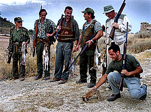 Batida en un coto superpoblado de conejos