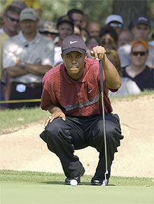 Tiger Woods estudia la caída de un    green. 