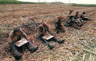 Cortadores de caña hacen un descanso para comer en una plantación cubana.