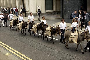 Protesta por la caída del precio del café