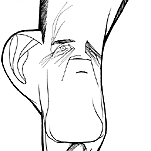 El 'contable' de Harvey Pitt