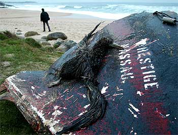 Los restos del naufragio