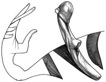 "Debería meter más goles; tener más egoísmo"