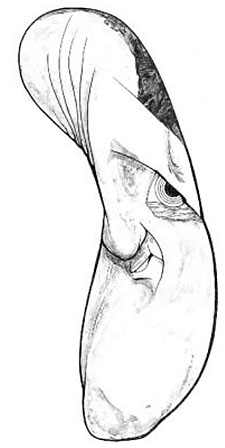 "Con lo que tenía, debía haber firmado a Karpin"