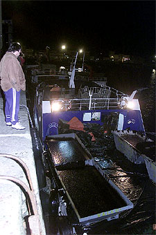 NEGRA PESCA A LA ENTRADA DE LAS RÍAS BAJAS.