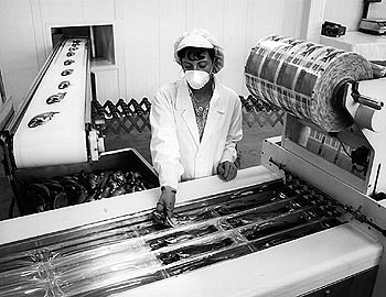 Envase de truchas en las instalaciones de una piscifactoría en Navarra.