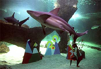 UN BELÉN ENTRE LOS TIBURONES.