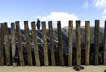 La barricada levantada en el parque nacional de Corrubedo impidió que la contaminación del    Prestige  llegase a las dunas y las lagunas.