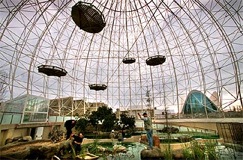 A TODA MÁQUINA EN L'OCEANOGRÀFIC.