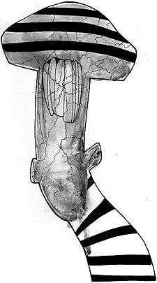 ¿Culpable o inocente?