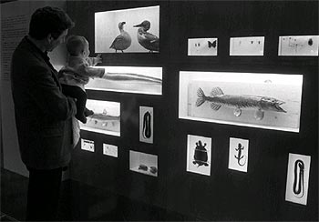 Un aspecto de la exposición  Como pez en el agua , en el Museo Nacional de Ciencias Naturales, de Madrid, en 1996.