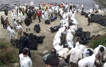 El Príncipe de Asturias pasea entre los militares, marineros y voluntarios que se afanan en limpiar el fuel que invade la isla de Ons (Bueu, Pontevedra).