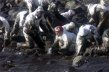 Un grupo de voluntarios trata de limpiar el chapapote en los alrededores del cabo Touriñán.