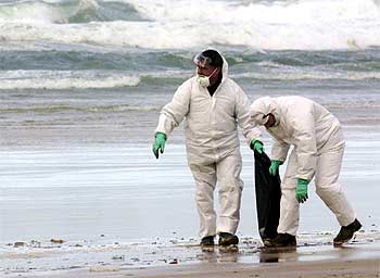 Voluntarios contra el fuel en el suroeste francés