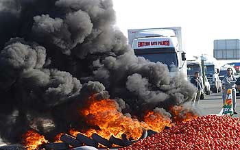 Corte de carretera con tomates