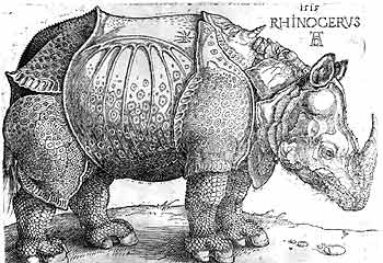  Rinoceronte  (1515), grabado de Alberto Durero.