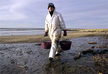 LOS SOLDADOS FRANCESES LIMPIAN SUS PLAYAS.