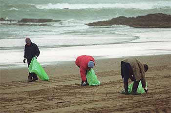 EL FUEL ALCANZA LA RESERVA DEL URDAIBAI Y GUIPÚZCOA.