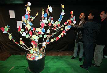 Los árboles de la paz florecen en el metro