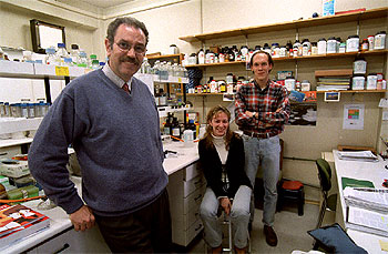 Los investigadores Vicente Larraga (a la izquierda), María Jesús Ramiro y Tobías Hanke.