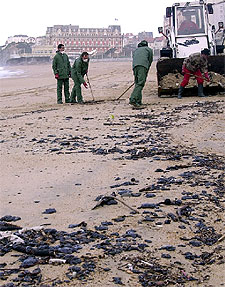 Trabajadores del Ayuntamiento de Biarritz (suroeste de Francia) limpian las    galletas  de fuel del    Prestige  llegadas ayer a la playa.