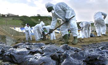 Recogida de fuel del    Prestige  en la playa de Sopelana (Vizcaya), que ayer sufrió la llegada de una nueva oleada de contaminación.