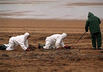 Varios trabajadores se afanaban ayer en la recogida de chapapote en la playa de Sopelana (Vizcaya).